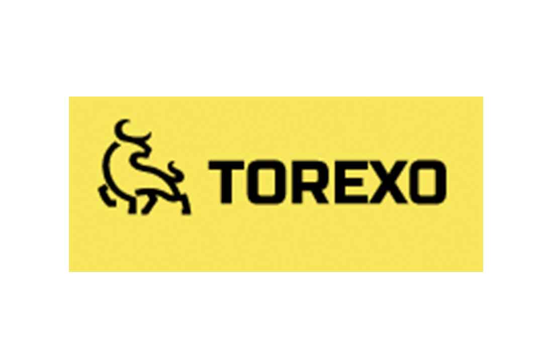 Отзывы о Torexo: стоит ли инвестировать?